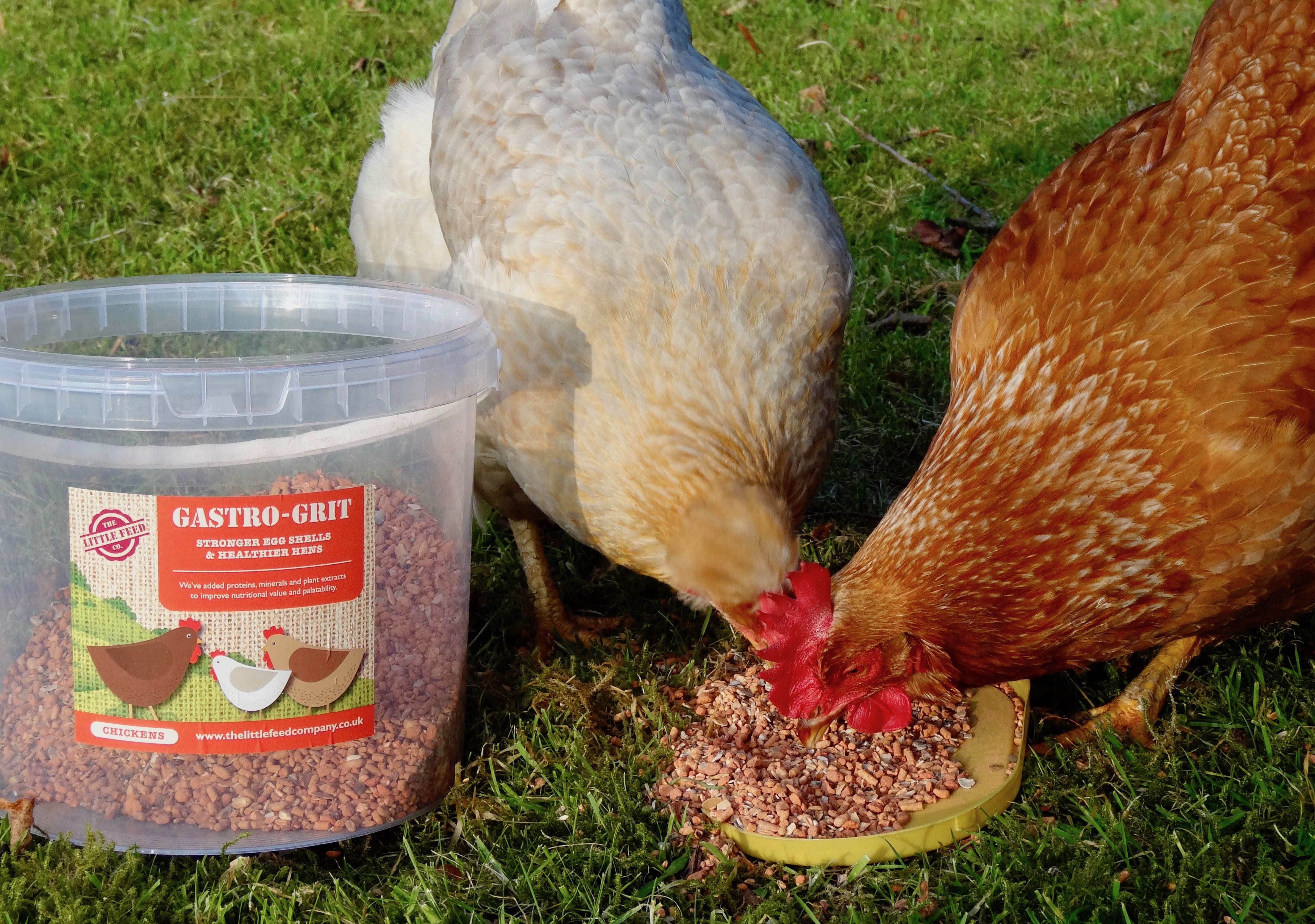 grit for chickens, oyster shell