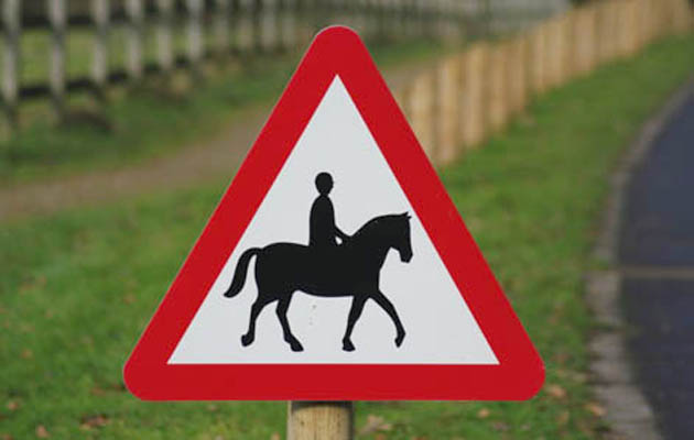horse riding hacking roads cars safety