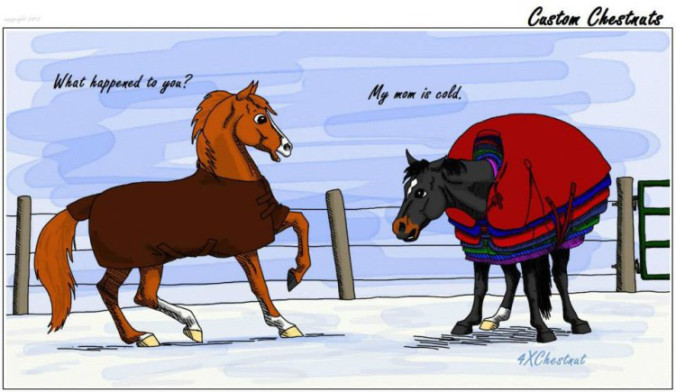 cold winter warm chickens horse dog
