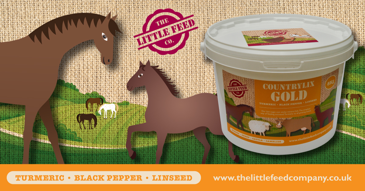 turmeric linseed black pepper horse pony
