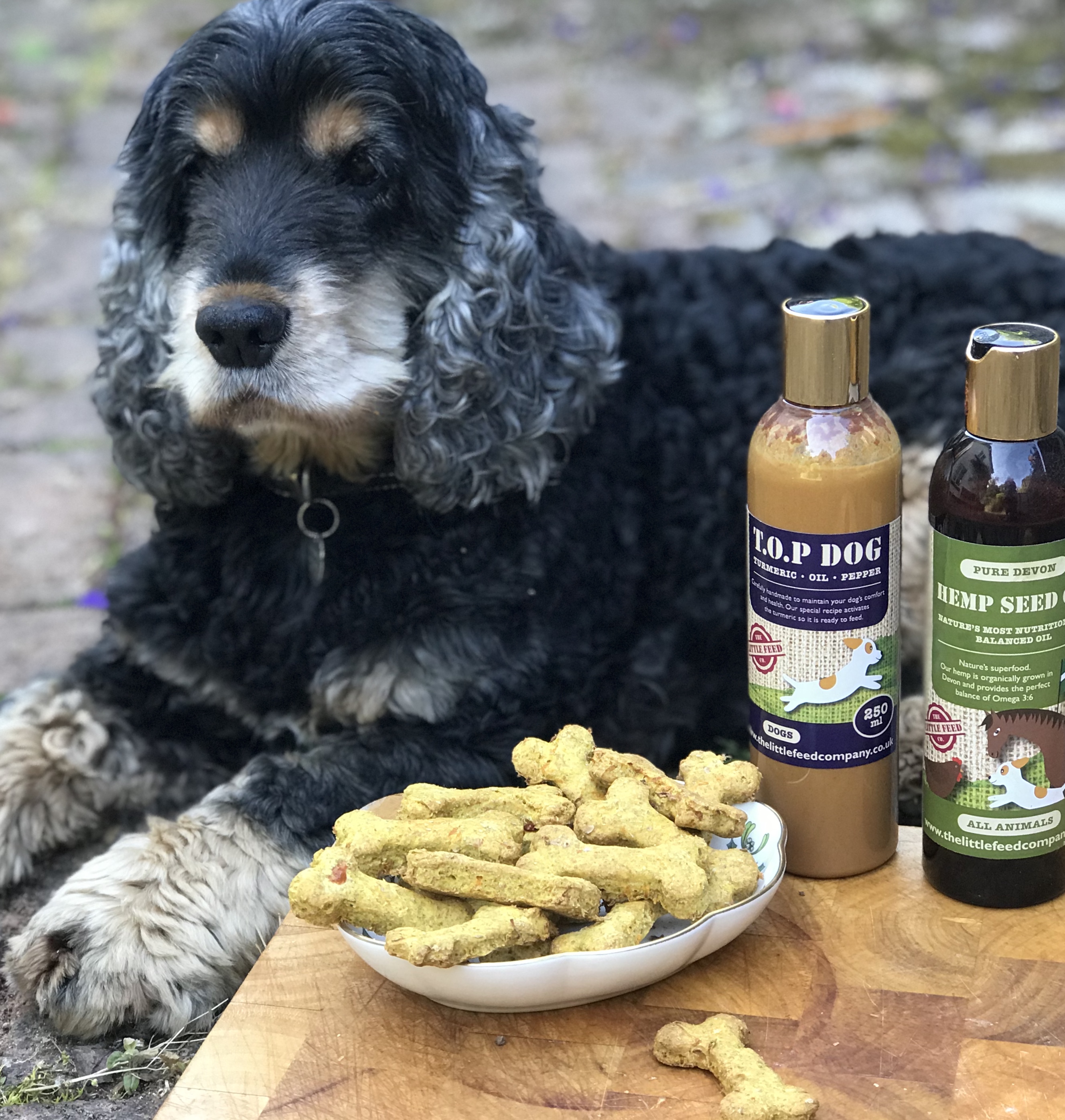 dog biscuits recipe. dog treats