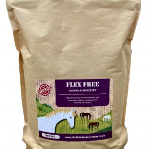 joint supplement for horses