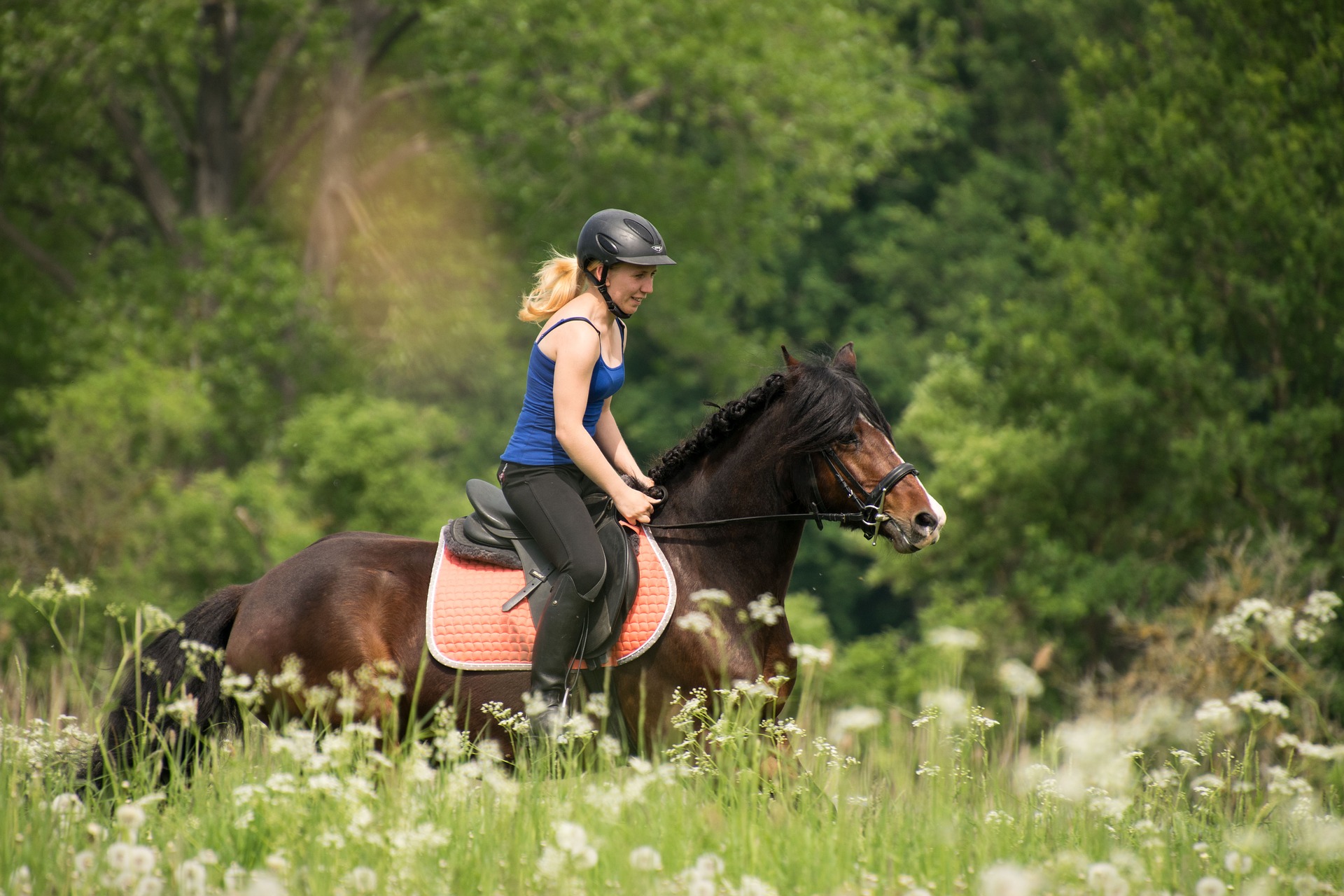 cow parsley for horses