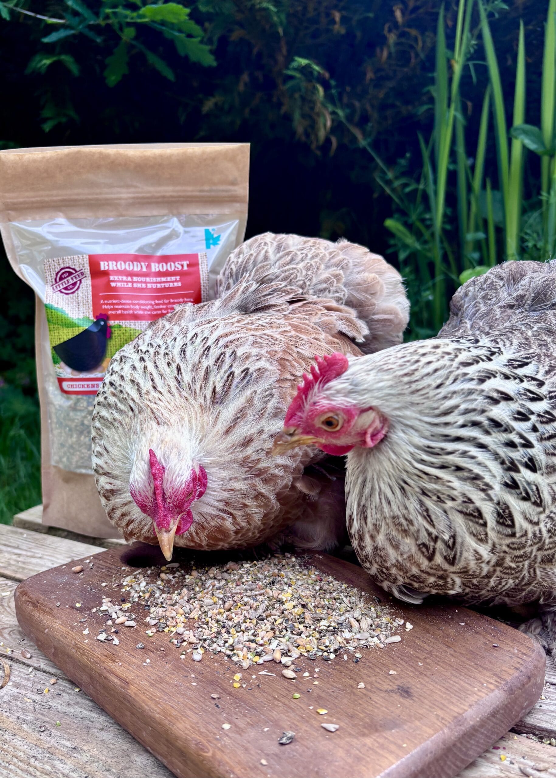 Broody Boost - Image 4