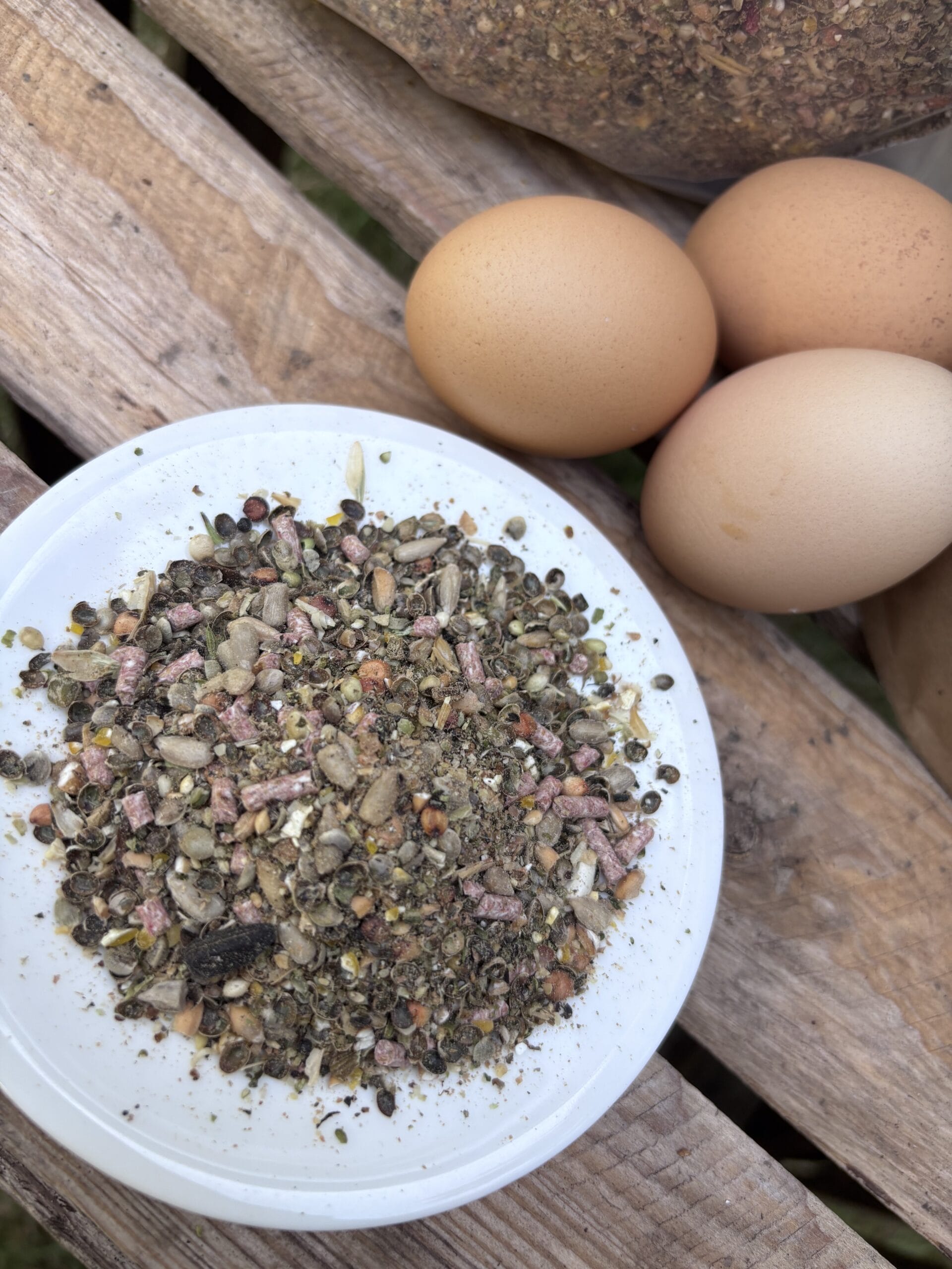 close up image showing Rehome and Recoup mix with some eggs