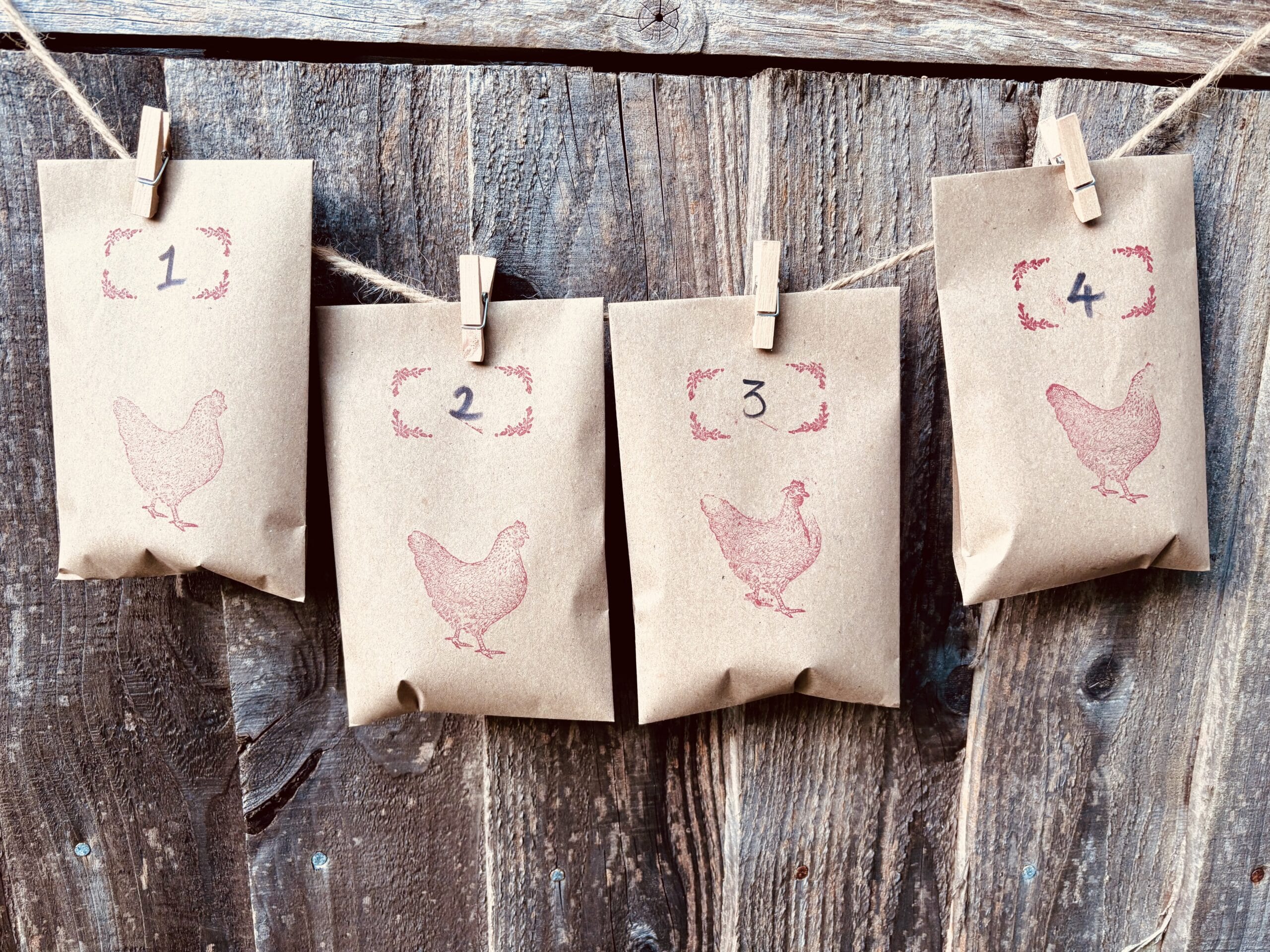 chicken advent calendar